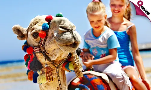 Half Day Desert Safari With OR Without Camel Rides!